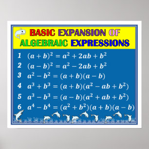 Algebra Wiskunde Klaslokaal Poster - Blauw Oceaan