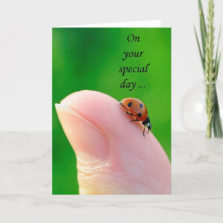 Algemeen Gelukkige Verjaardag lieveheersbeestje We Kaart