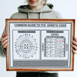 Algemeen quide op de genetische code poster