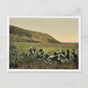 Algemeen uitzicht, berg Carmel, Heilig Land (d.w.z Briefkaart