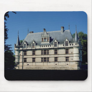 Algemeen uitzicht van de Chateau d'Azay-le-Rideau Muismat