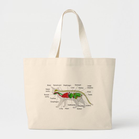 Algemene anatomie van een Cat Felis Silvestris Cat Grote Tote Bag (Voorkant)