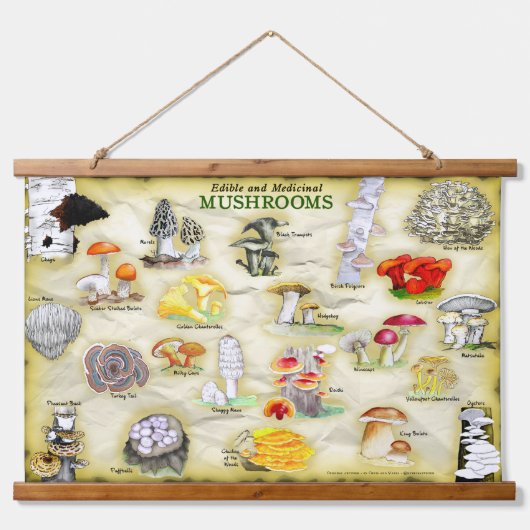 Algemene namen - Tapestry Mushrooms Hangend Wandkleed (Voorkant)