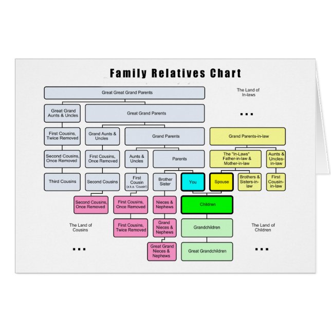 Algemene organisatie van de familiestructuur (Voorkant Horizontaal)
