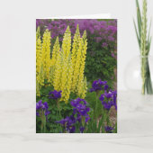 Algemene Verjaardag Bloem Kaart (Voorkant)