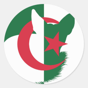 Algerije Fennec Fox Algerijnse nationale dierenvla Ronde Sticker