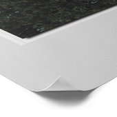 Algocape Poster (Hoek)