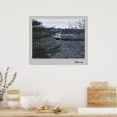 Algocape Poster (Keuken)