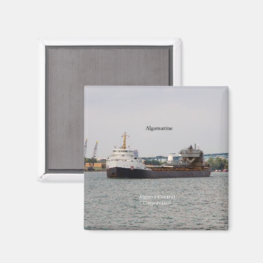 Algomarine magnet magneet (Voorkant / Achterkant)