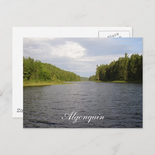 Algonquin Beauty Briefkaart (Voorkant / Achterkant)