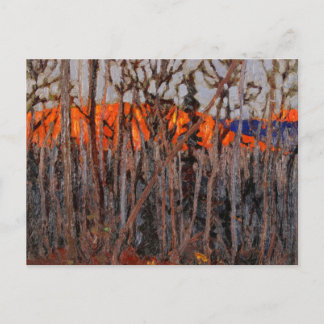 Algonquin Park Briefkaart