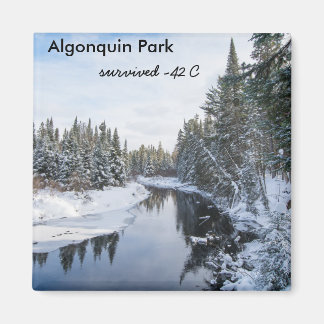 Algonquin Park Magneet