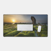 Algues (Clavier et souris)