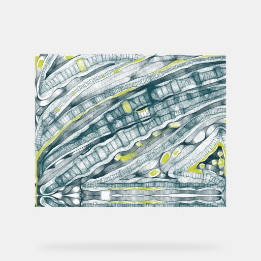 Algues Sous Verre (Recto)