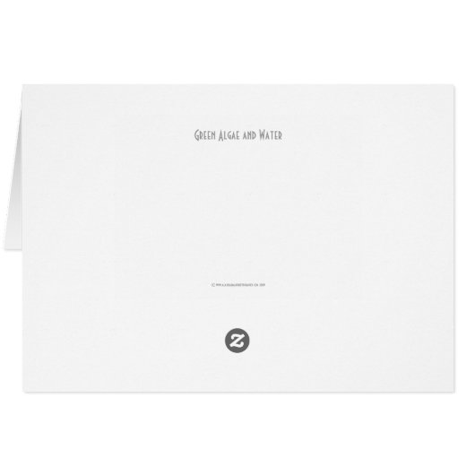 Algues vertes et eau gccan (Dos Horizontal)