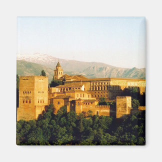 alhambra magneet