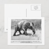 Alice B. Woodward : Carte postale d'art Palaeomast (Devant / Derrière)