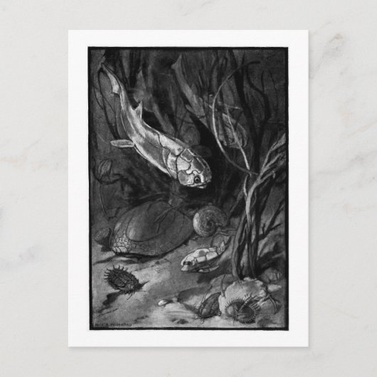 Alice B. Woodward : Carte postale de l'art de l'ép (Devant)