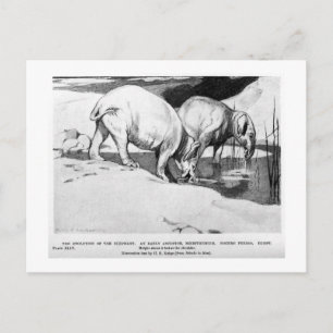 Alice B. Woodward : Carte postale de l'art de Moer
