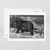 Alice B. Woodward : Carte postale Elasmaternium ar (Devant / Derrière)