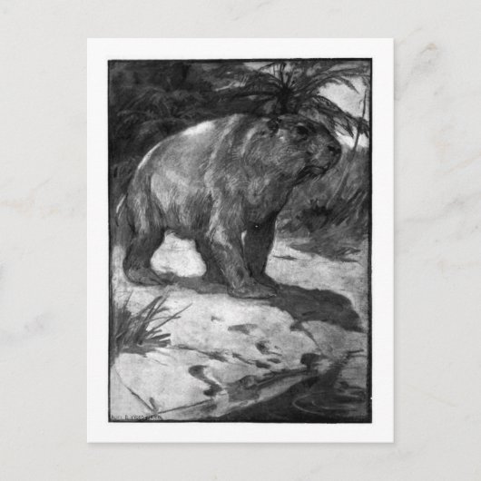 Alice B. Woodward: Diprotodon art briefkaart (Voorkant)
