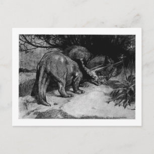Alice B. Woodward : Tricératops art carte postale