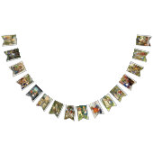 Alice dans des DRAPEAUX de PARTIE d'AMUSEMENT du (Tout)