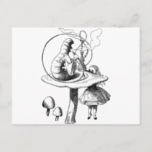 Alice en de Caterpijler Briefkaart