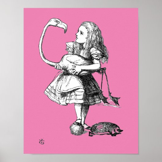 Alice en de Flamingo ( roze broer ) Poster (Voorkant)