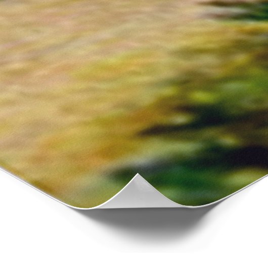 Alice en de White Knight in Wonderland Poster (Hoek)