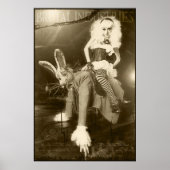 Alice in Brutal Land Poster (Voorkant)