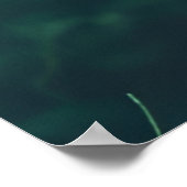 Alice in het bos Mode Verlopen Film Mode Poster (Hoek)