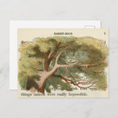  Alice in het Briefkaart Wonderland (Voorkant / Achterkant)