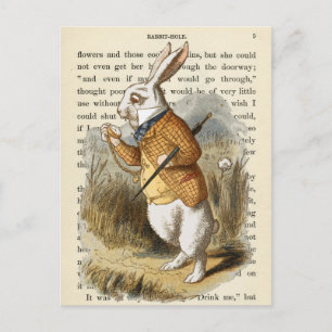  Alice in het Briefkaart Wonderland
