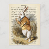 Alice in het Briefkaart Wonderland (Voorkant)