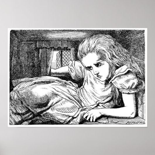 Alice in het Witte konijnenhuis Poster (Voorkant)