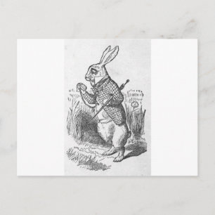 Alice in Sprookjesland 2.5 Briefkaart
