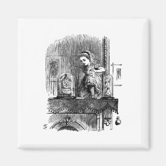 Alice in Wonderland door het kijkglas Magneet