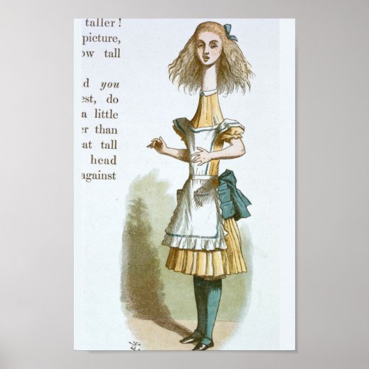  Alice in Wonderland Illustratie Poster (Voorkant)