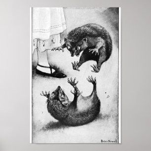  Alice in Wonderland Illustratie Poster