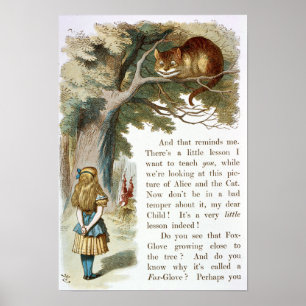 Alice in Wonderland Illustratie Poster