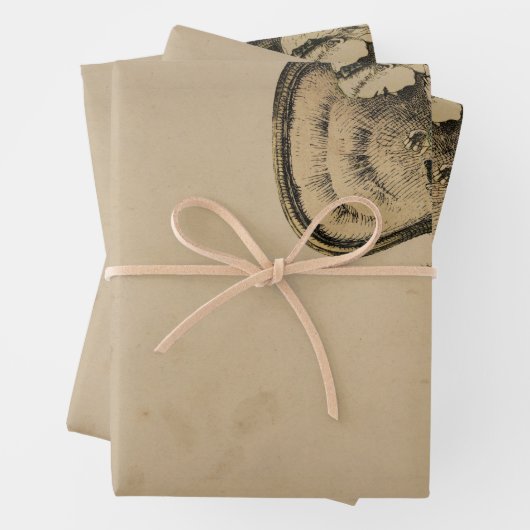  Alice in Wonderland Inpakpapier Vel (In situ)