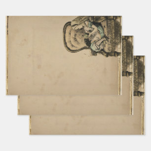 Alice in Wonderland Inpakpapier Vel