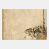  Alice in Wonderland met Flamingo Inpakpapier Vel (Voorkant)