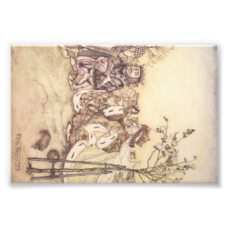Alice in wonderland print #2 foto afdruk