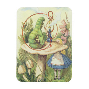 Alice ontmoet de Caterstyle Magneet