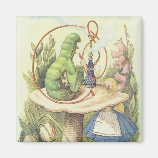 Alice ontmoet de Caterstyle Magneet (Voorkant)