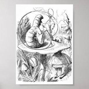 Alice ontmoet het Poster Caterstyle