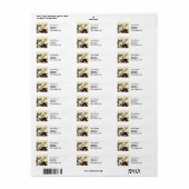 Alice White Rabbit Classic Wonderland Etiket (Full Sheet)
