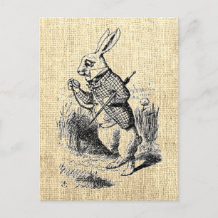Alice's White Rabbit  Illustration Briefkaart